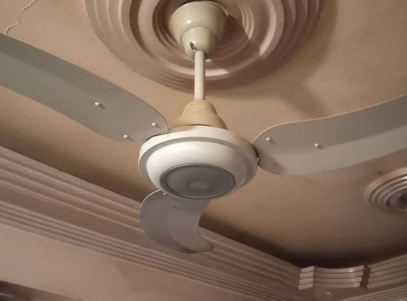 Fancy Fan for Sale 2