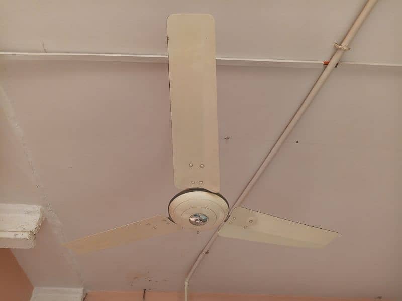 Fan for sale 2