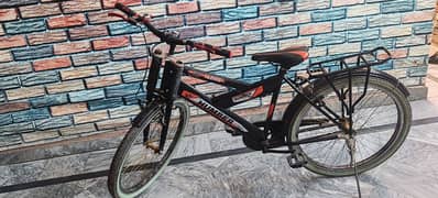 Boys Bicycle 22