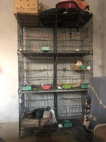 Folding Cage For Sale 0