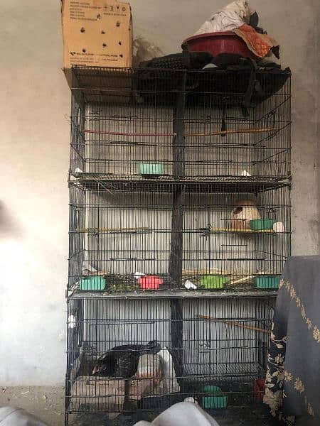 Folding Cage For Sale 1