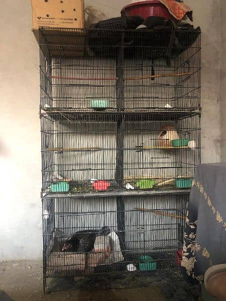 Folding Cage For Sale 2