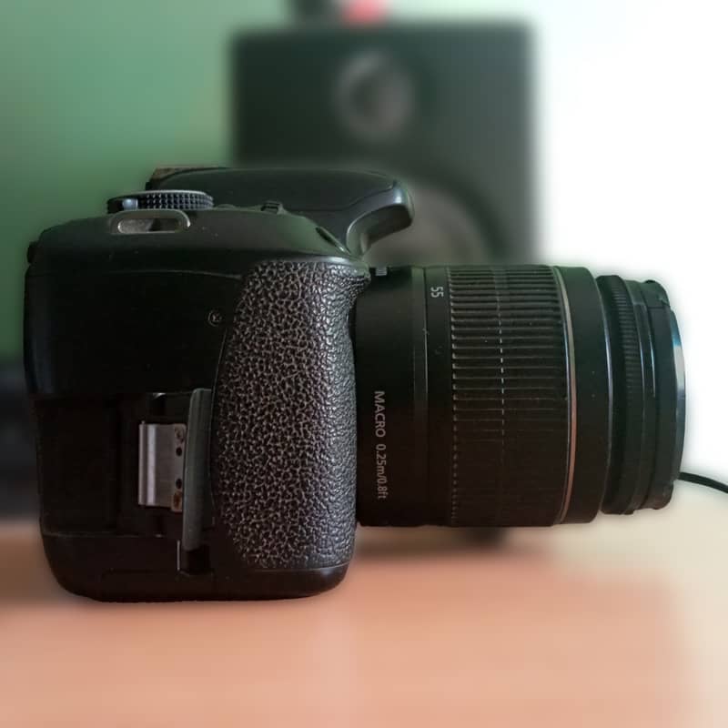 Canon 600d/Rebel T3i 2