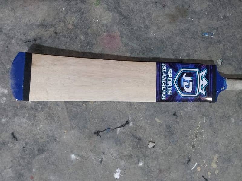 cricket bat 1