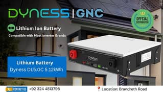 Dyness Lithium Ion Battery