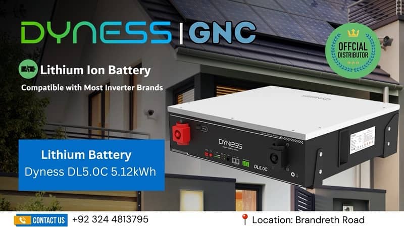 Dyness Lithium Ion Battery 0