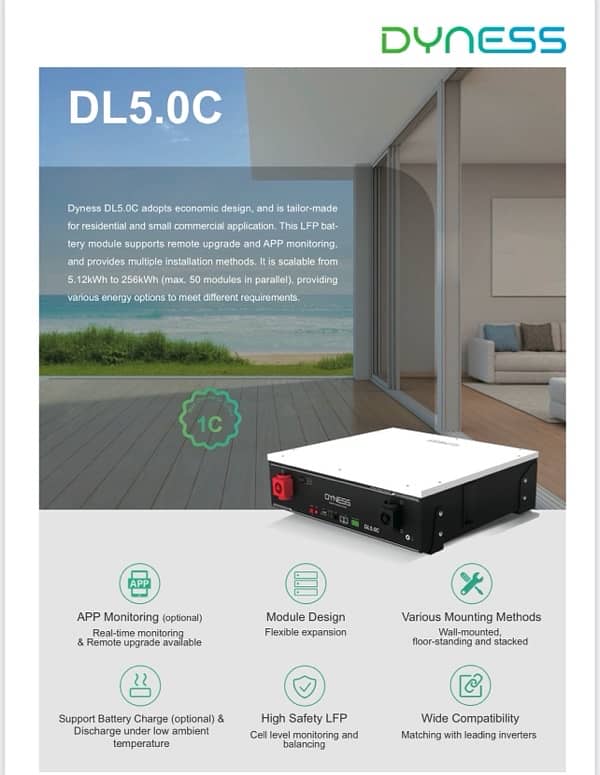 Dyness Lithium Ion Battery 1