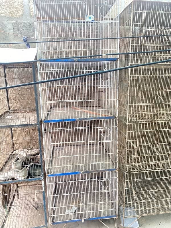 cage for sale 1