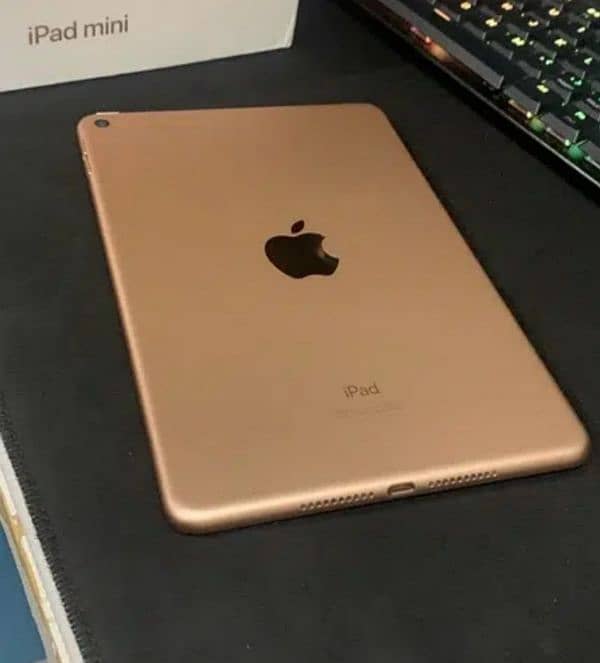 iPad Mini 5 0