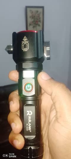 Security torch