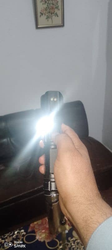 Security torch 2