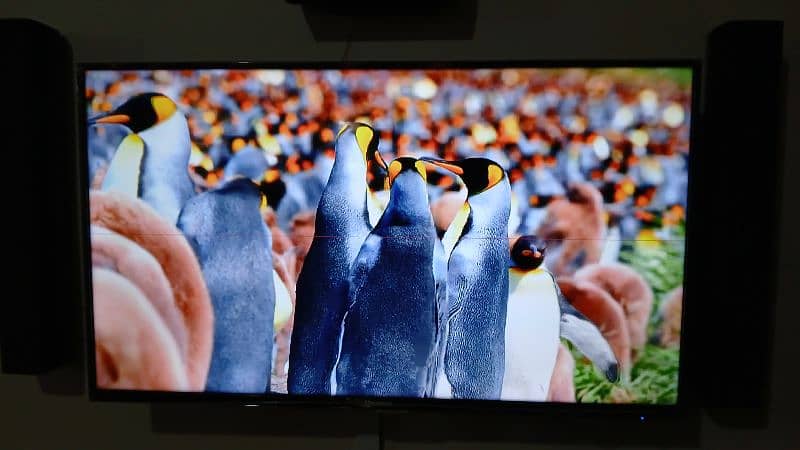 Hisense LED 40" 2