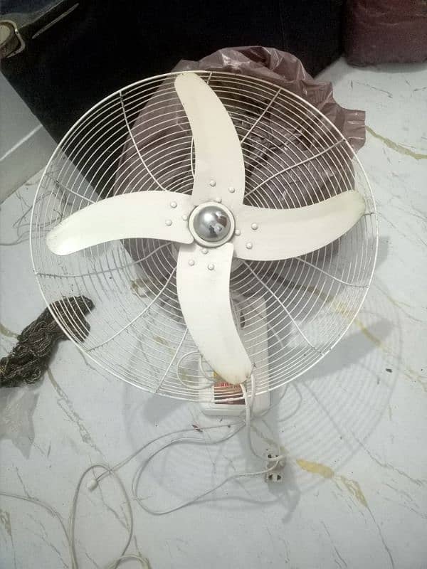 Wall mounted Royal Fan 3