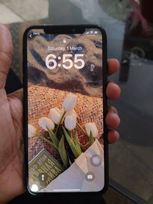 iPhone X PTA APPROVED 0