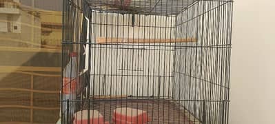 cage for sale