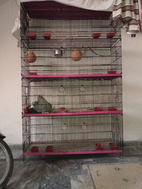 birds cage 0