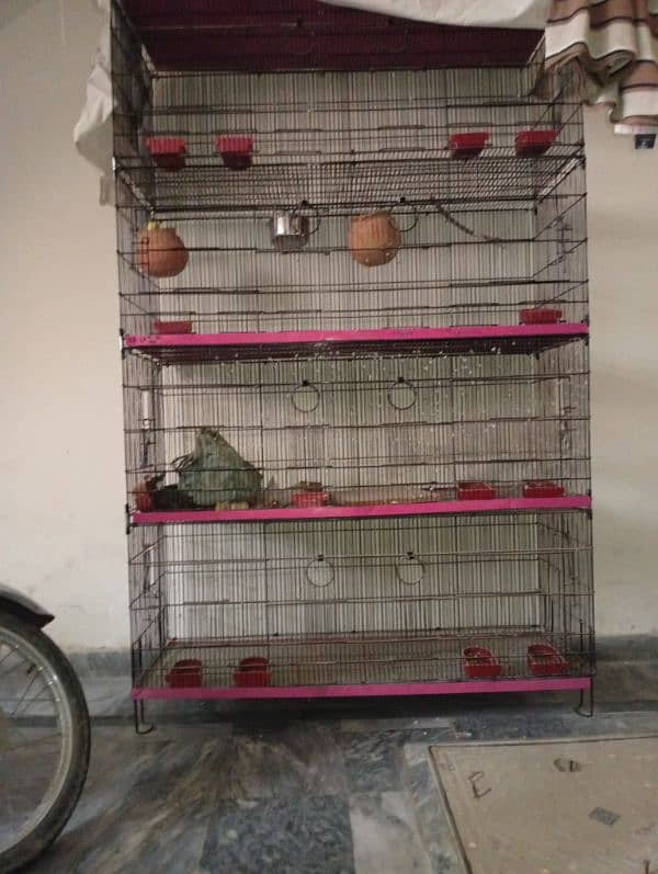 birds cage 2