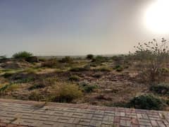 Exclusive 125-Yard Plot in DHA City Karachi Sector 3D