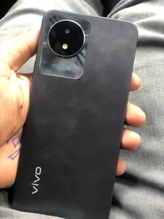 Vivo