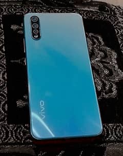 vivo