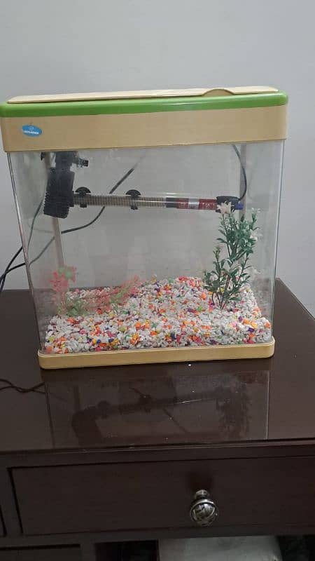 High quality imported aquarium 2