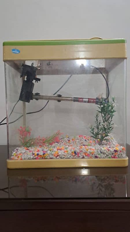 High quality imported aquarium 3