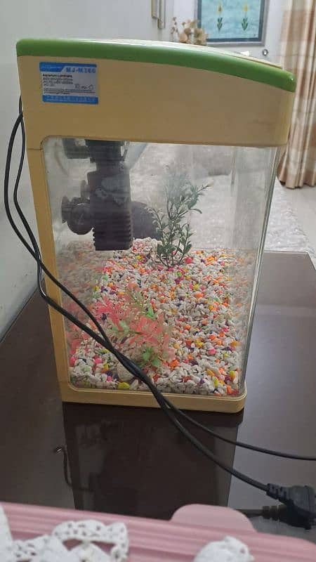 High quality imported aquarium 5