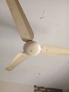 SK Fan Fixed price