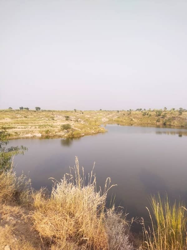 1300 Kanal Agricultural Land For Sale In Chakwal 6