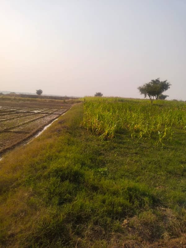 1300 Kanal Agricultural Land For Sale In Chakwal 12