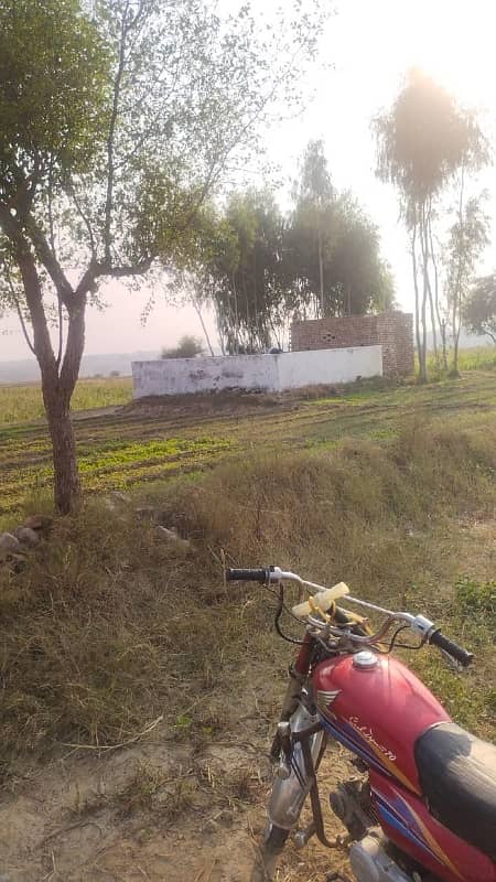 1300 Kanal Agricultural Land For Sale In Chakwal 16