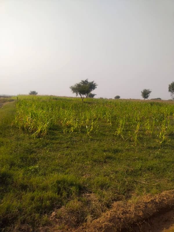 1300 Kanal Agricultural Land For Sale In Chakwal 18