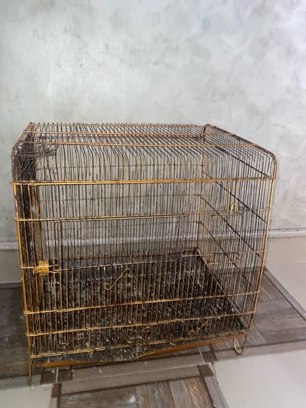 RAW PARROT CAGE 8