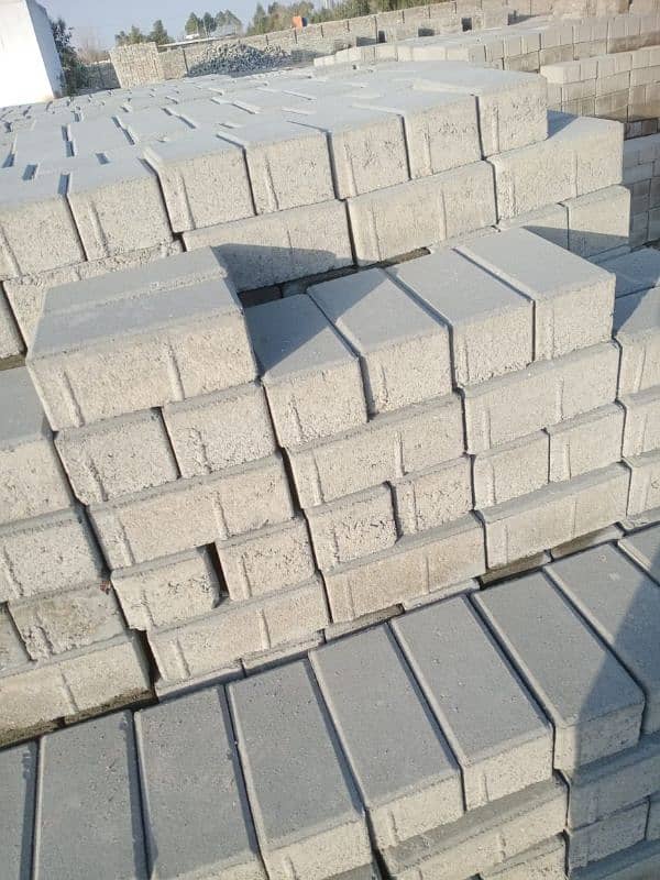 80MM Paver 5000 PSI 1