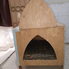 cat and dog house