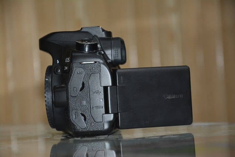 Canon 80d only body 10/10 condition available 6