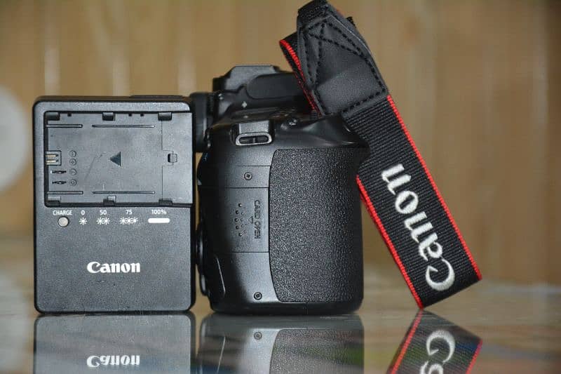 Canon 80d only body 10/10 condition available 10