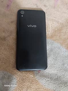 Vivo