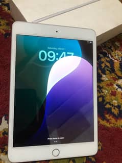 I pad mini 5