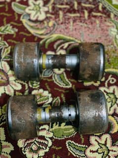 Metal High Quality Dumbbells For sale