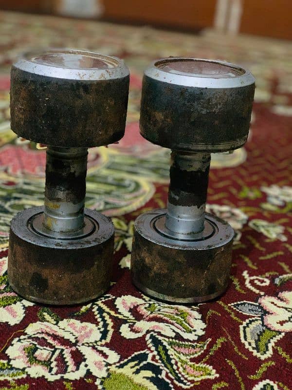 Metal High Quality Dumbbells For sale 2