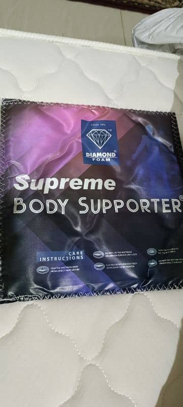 Medicated Orthopedic Foam Body Supporter 1