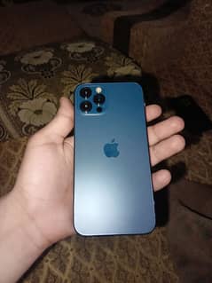 i phone 12 pro