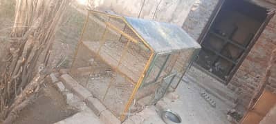 pigeons + birds + hens cage for sale and some pigeons for sale