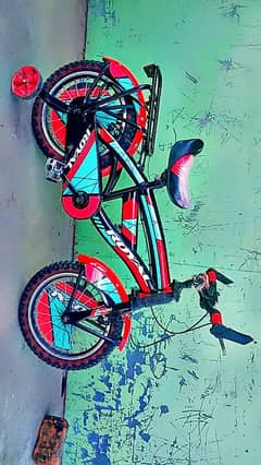 kids bicycle