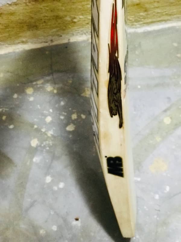 MB SHER AMIN BRAND NEW BAT 2