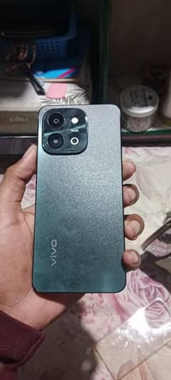 vivo