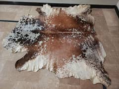 Cowhide Rugs (skins)