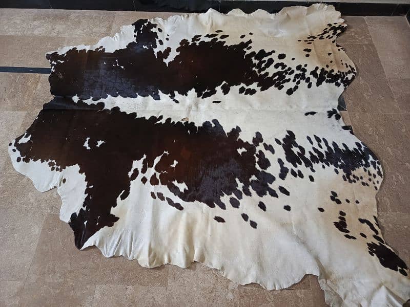 Cowhide Rugs (skins) 4