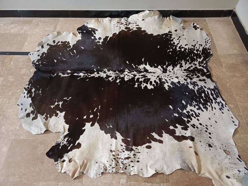 Cowhide Rugs (skins) 5